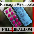 Kamagra Pineapple 35
